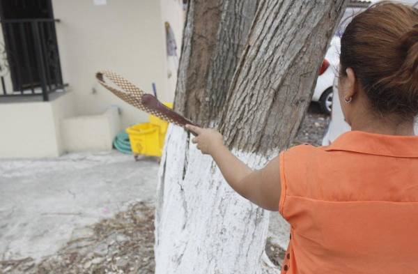 Si le pegas a un árbol ese día, este dará frutos.