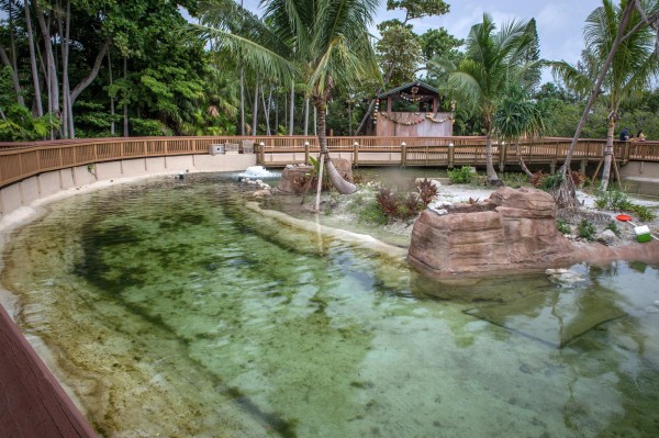 El Miami Seaquarium invita a interactuar con tiburones y mantarrayas
