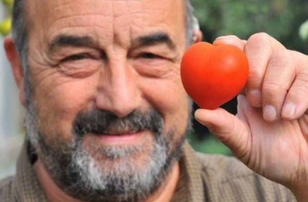 Tomate en forma de corazón