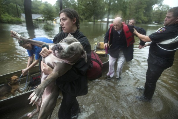Más de mil rescates y desalojos en Texas por tormenta Imelda
