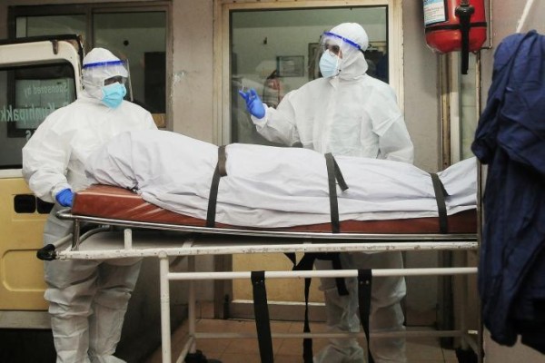 Reaparece virus en India. Nipah deja dos muertos y varios hospitalizados
