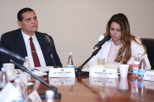 'Chello': Comisión de Credenciales todavía no debatirá nombramiento de magistrados 