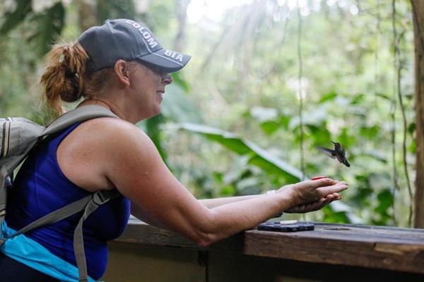 Global Big Day 2026: Panamá en el top mundial de observación de aves