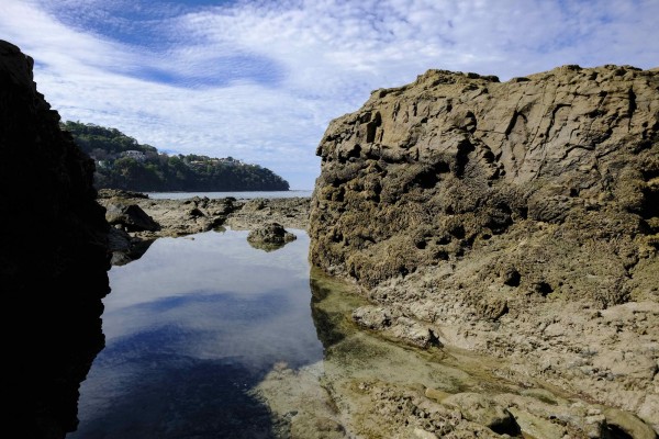 Costa Rica presenta un plan para reducir los residuos marinos al 2030
