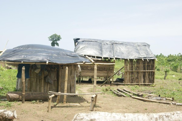 Casas están construidas a base de bambú y plásticos.