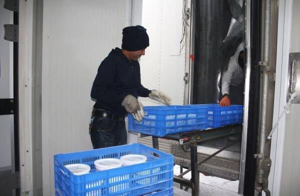 Se están produciendo 45,000 helados por día en la planta.