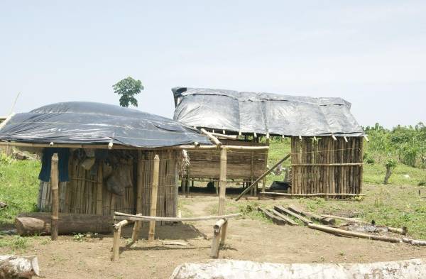 Casas están construidas a base de bambú y plásticos.