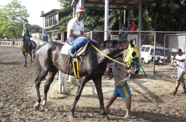 Desde tempranas horas de la mañana, Madrid ejercita ejemplares en la pista.