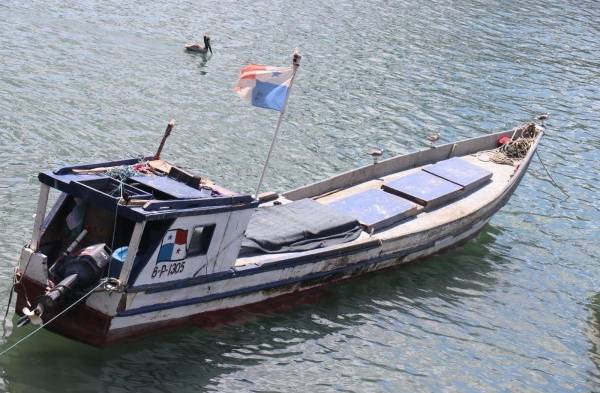 Pescaba debajo del Puente de las Américas y lo sancionaron 