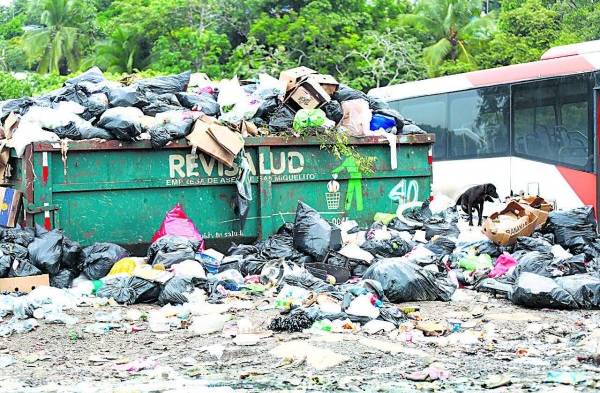 Basura... la crisis que no termina: ¿Falta de estrategias o de educación? 