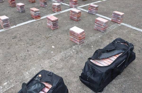 Encuentran 46 maletines con droga dentro de un contenedor en Colón 