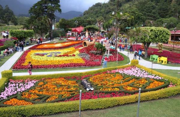 Así lucen los jardines de la feria de Boquete