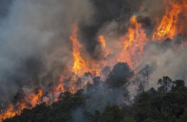 Más de 98.000 hectáreas afectadas por 1.202 incendios forestales en Honduras