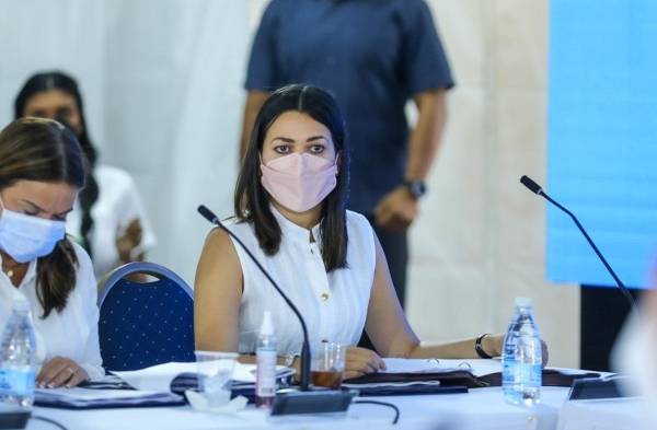 La ministra Janaina Tewaney Mencomo presentará el proyecto de ley ante el pleno de la Asamblea .