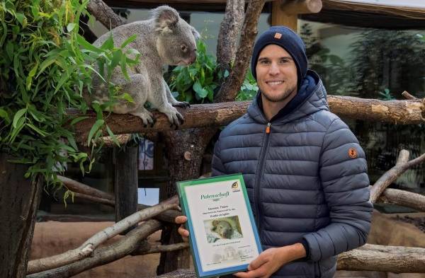 Dominic Thiem apadrina al primer koala nacido en el zoo de Viena