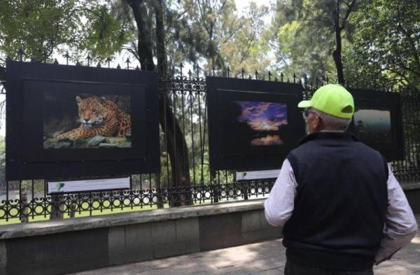 El centenario bosque mexicano de Chapultepec exhibe los paisajes de Ecuador