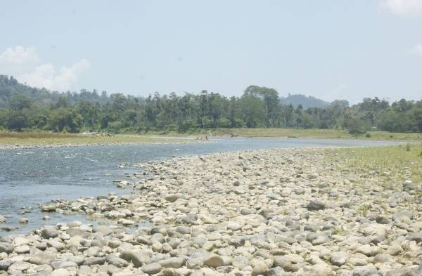 Los niveles del agua en el cauce del río Teribe en el distrito de Changuinola, se encuentra en menos de un pie de profundidad.