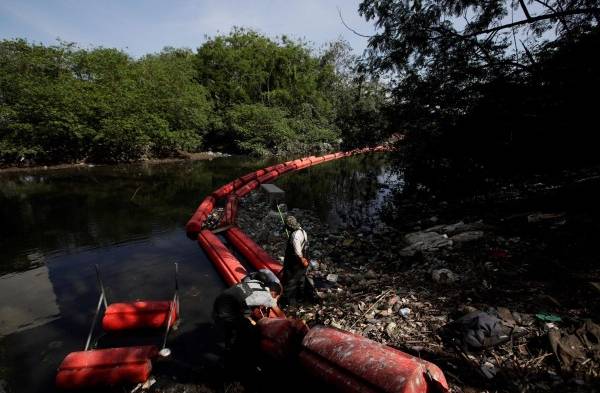 La presión humana y el clima devastan el manglar de la Bahía de Panamá