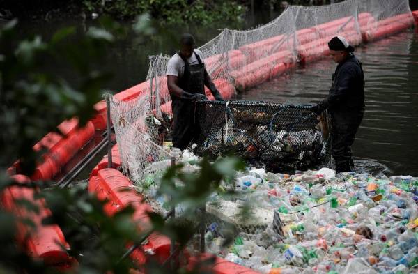 Alerta por la fragilidad del humedal de la Bahía de Panamá