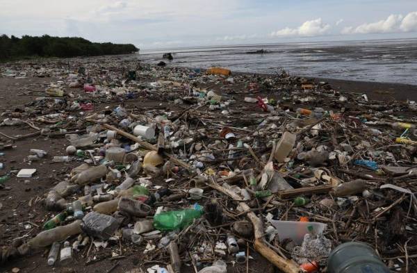 Limpian las playas en Costa del Este