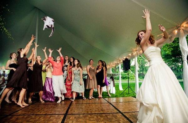 Apaña tu gato y te casarás