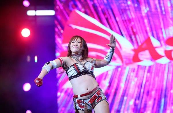 Luchadores de la WWE en Panamá