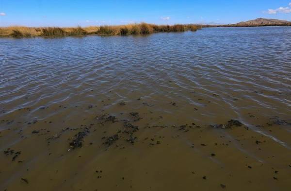 La muerte lenta del Titicaca, el lago sagrado de Los Andes