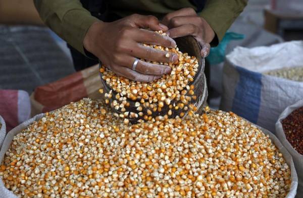 Se verá afectado el acceso de las familias a la comida.  .