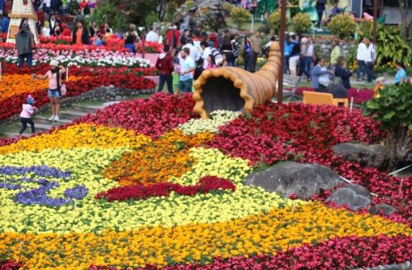 Así lucen los jardines de la feria de Boquete