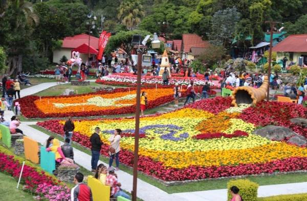 Así lucen los jardines de la feria de Boquete