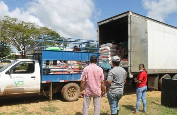 Entregan apoyo a pequeños productores de cerdos en Los Santos