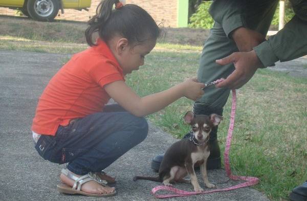 Agentes de la Policía Nacional enseñan a niños y adultos como entrenar a sus perros en Dos Ríos.