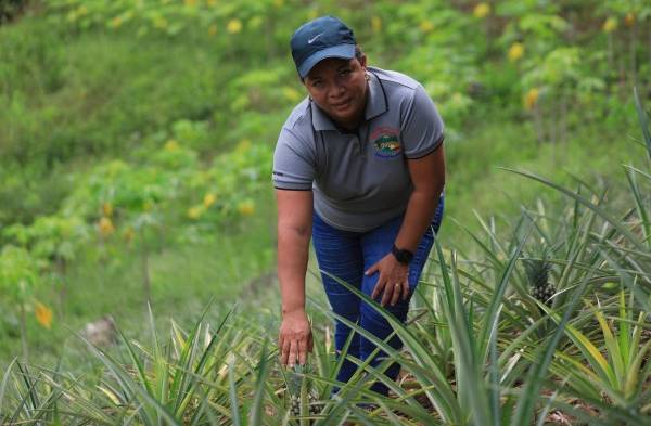 Mariela Castillo es asociada de DONLAP