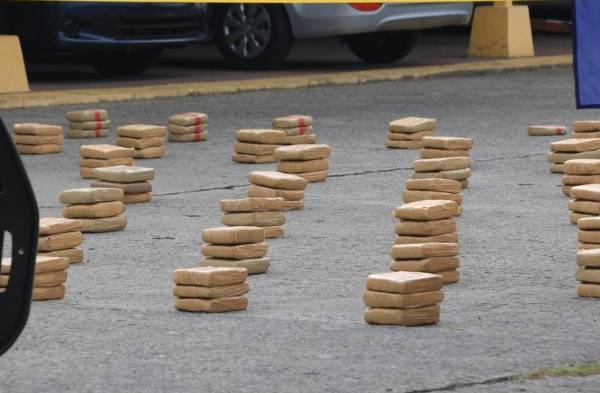 Decomisan 247 paquetes de droga en Veracruz&nbsp;