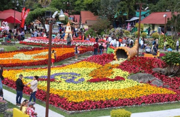 Así lucen los jardines de la feria de Boquete