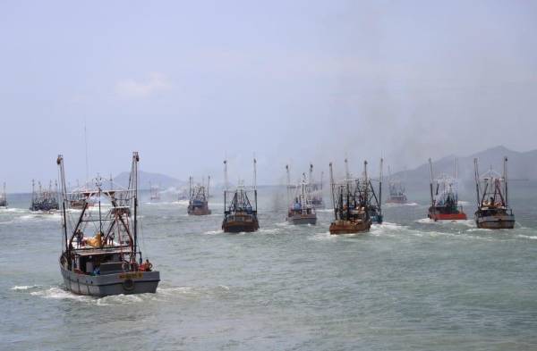 Más de 400 barcos camaroneros vuelven al mar 