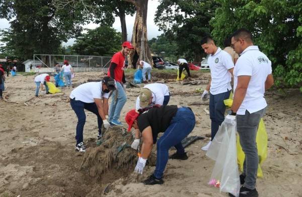 Limpieza en playa Veracruz: voluntarios recolectaron 1,454 materiales