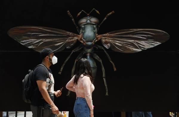 Insectos gigantes inundan el Bosque de Chapultepec de México en Semana Santa