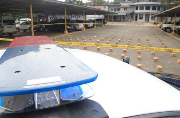 Decomisan 247 paquetes de droga en Veracruz&nbsp;