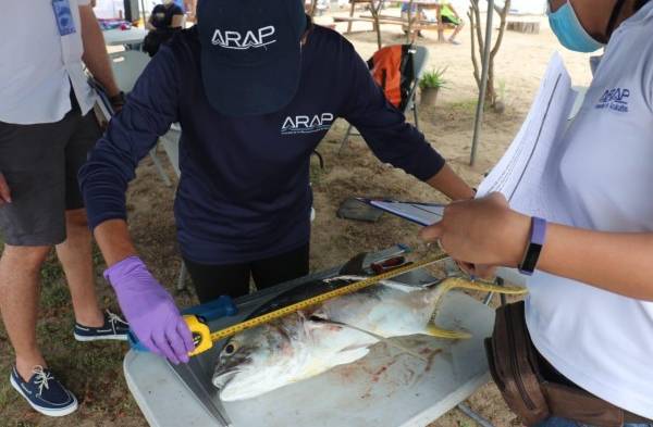 Torneo de pesca en kayak se realizó en las playas de Veracruz