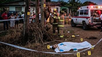 En caso de un ataque de abejas africanizadas, debe correr de inmediato hacia un refugio cerrado (como un auto o una casa), cubrirse la cabeza y llamar de inmediato al Cuerpo de Bomberos.