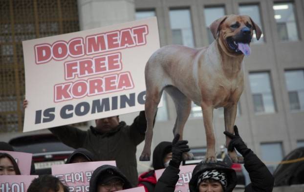 Corea del Sur prohibió la cría, matanza, distribución y venta de carne de perro