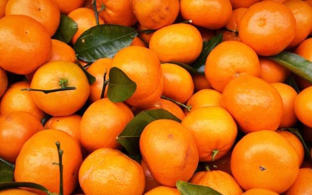 La mandarina: la fruta que atrae riqueza, salud y buena fortuna