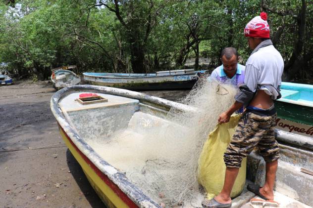 ARAP coordina con pescadores artesanales para prevenir accidentes con ballenas