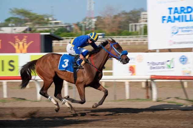 La ganadora llegando a la meta con el jinete Luis Arango.