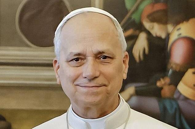 Papa León: El mundo no se salva afilando espadas