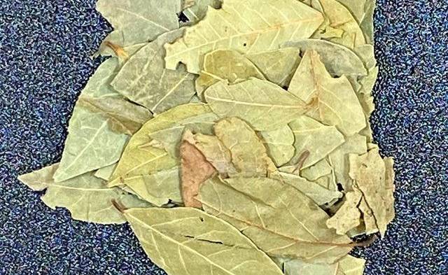 Baño de laurel y canela (atrae prosperidad y claridad mental)