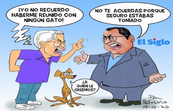 ¡Yo no recuerdo haberme reunido con ningún gato!