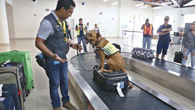 La UCA cuenta con un equipo técnico conformado por médicos veterinarios, ingenieros agrónomos y bachilleres agropecuarios.