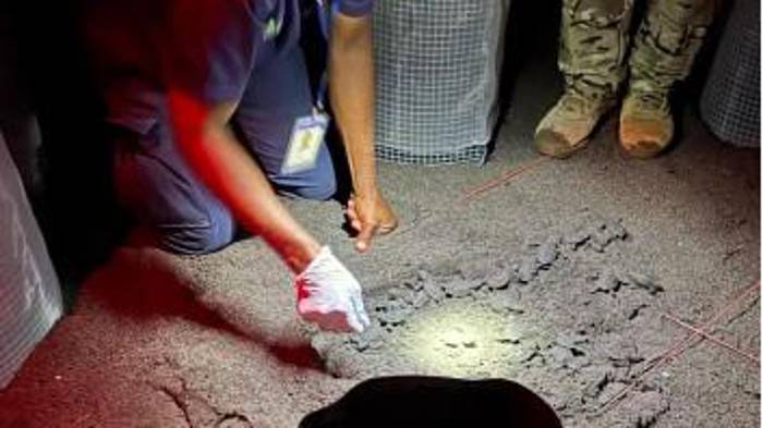 Se han reubicado 125 nidos.